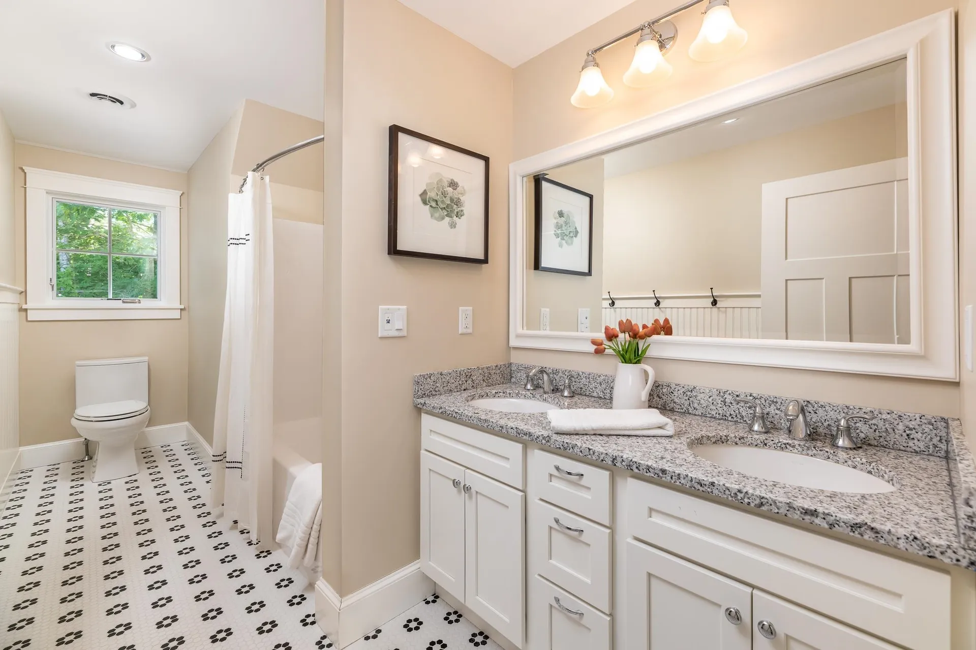 294 Redding Lane Moultonborough NH 03254