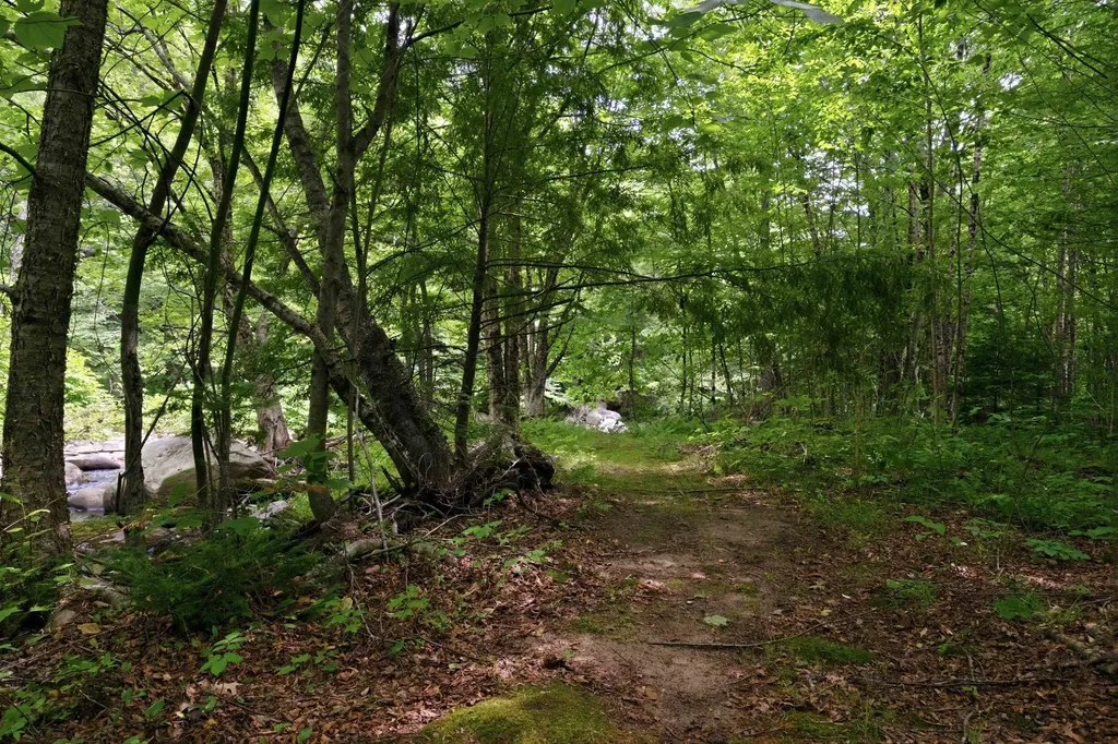 306 Stinson Lake Road Rumney NH 03266