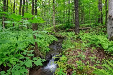 3818 West Hill Road Montgomery VT 05450