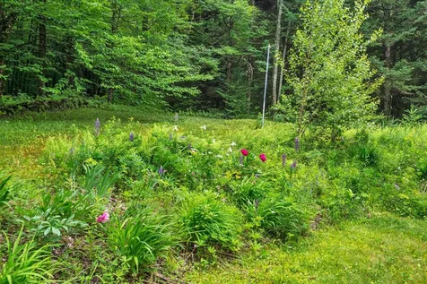 3818 West Hill Road Montgomery VT 05450