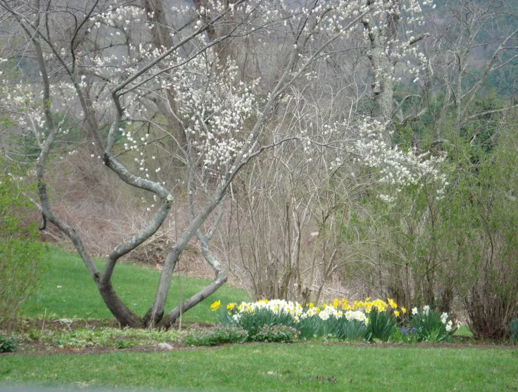 289 Lamb Hill Road Wells VT 05774
