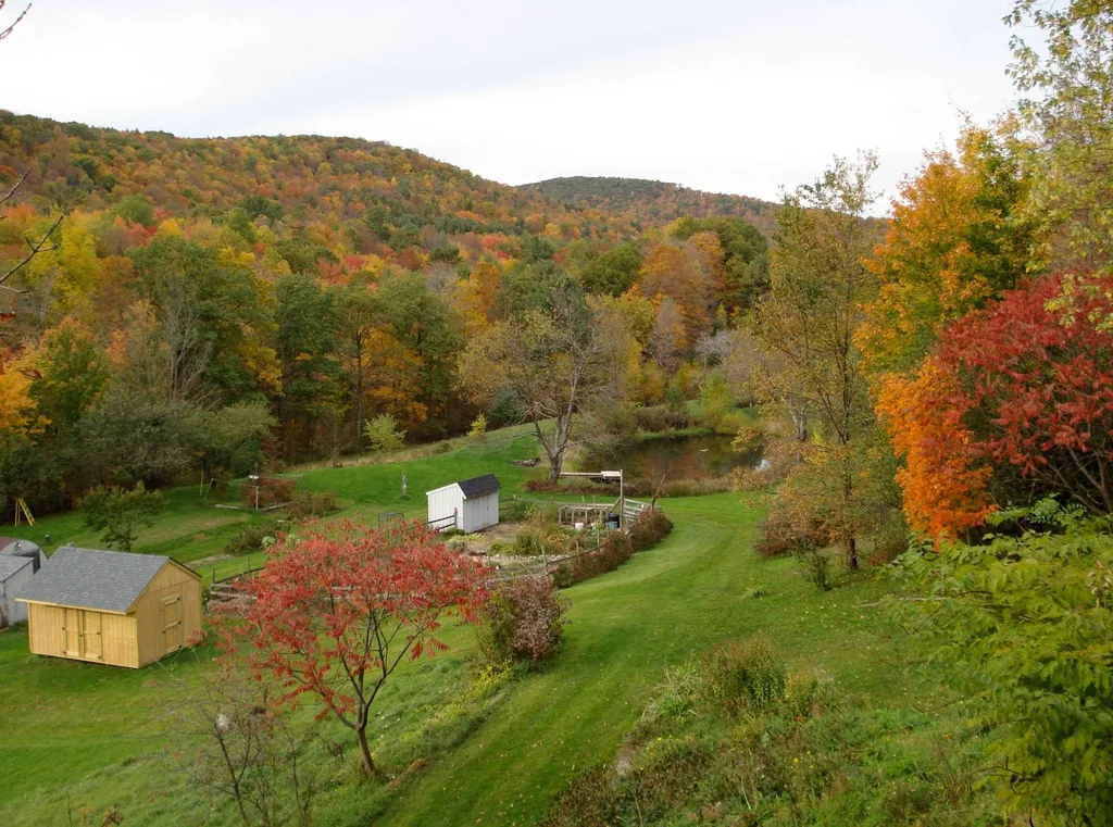 289 Lamb Hill Road Wells VT 05774