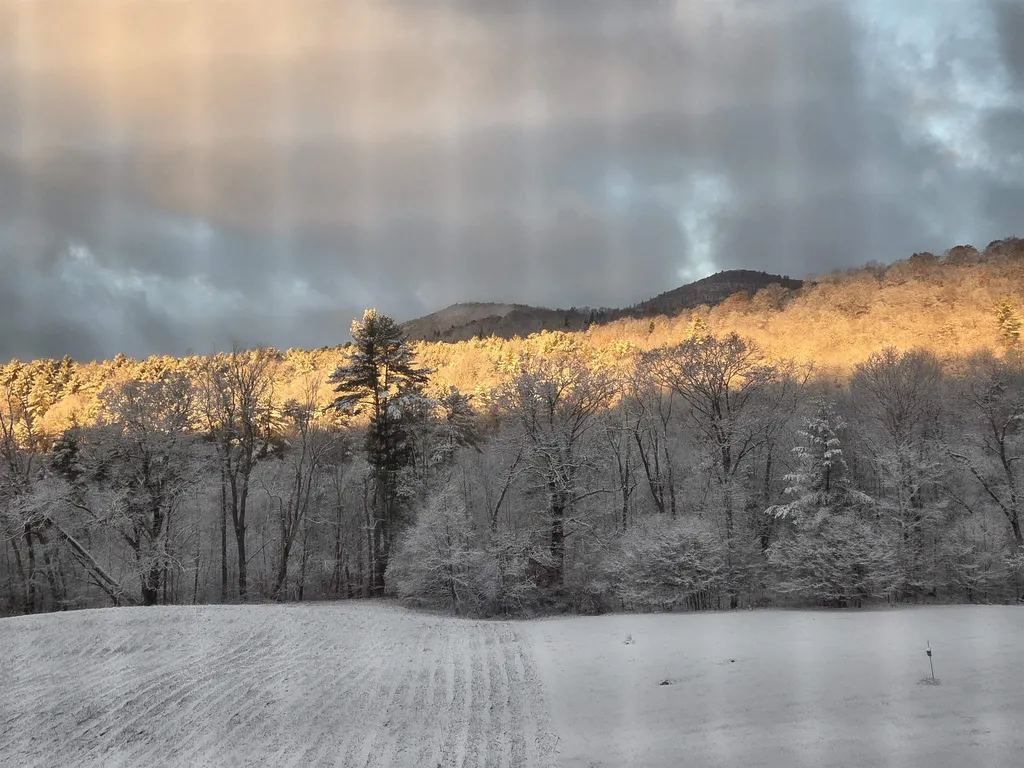 289 Lamb Hill Road Wells VT 05774