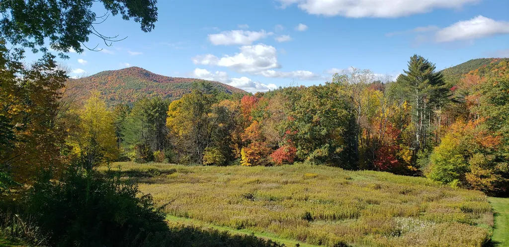 289 Lamb Hill Road Wells VT 05774