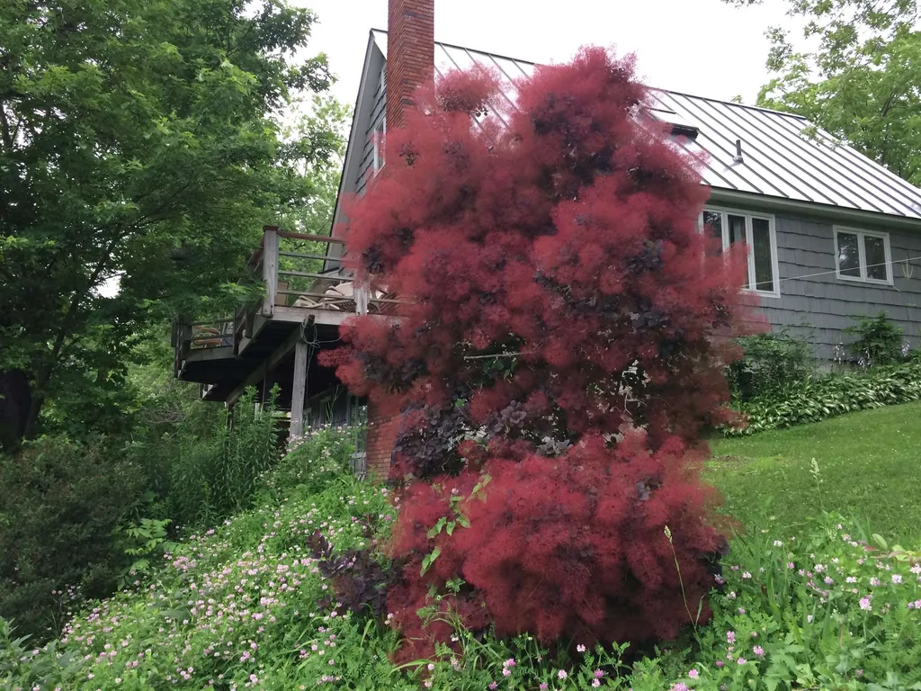 289 Lamb Hill Road Wells VT 05774