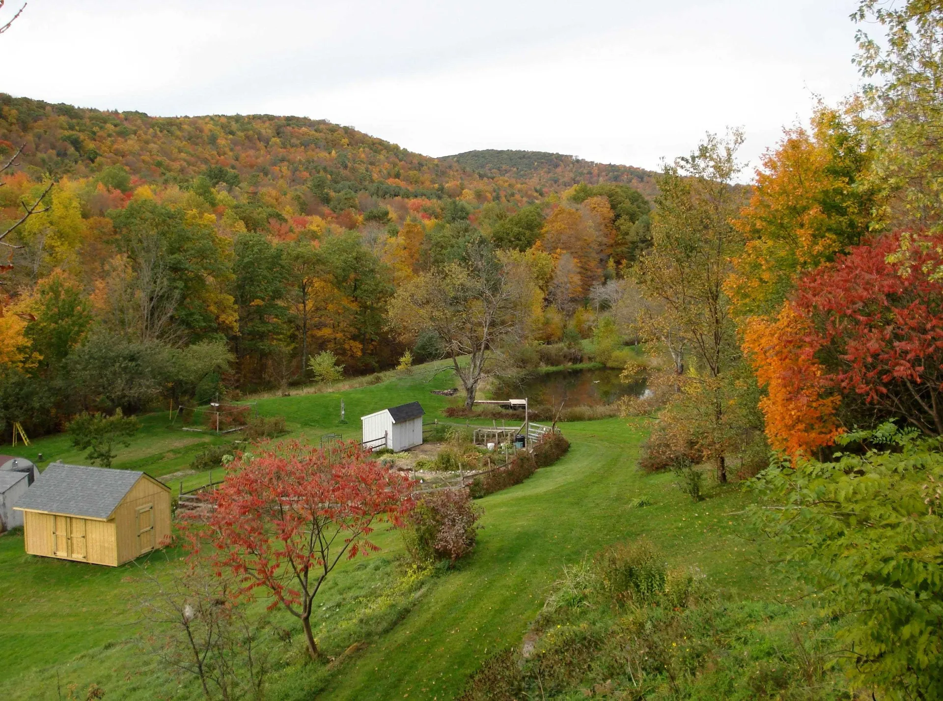 289 Lamb Hill Road Wells VT 05774