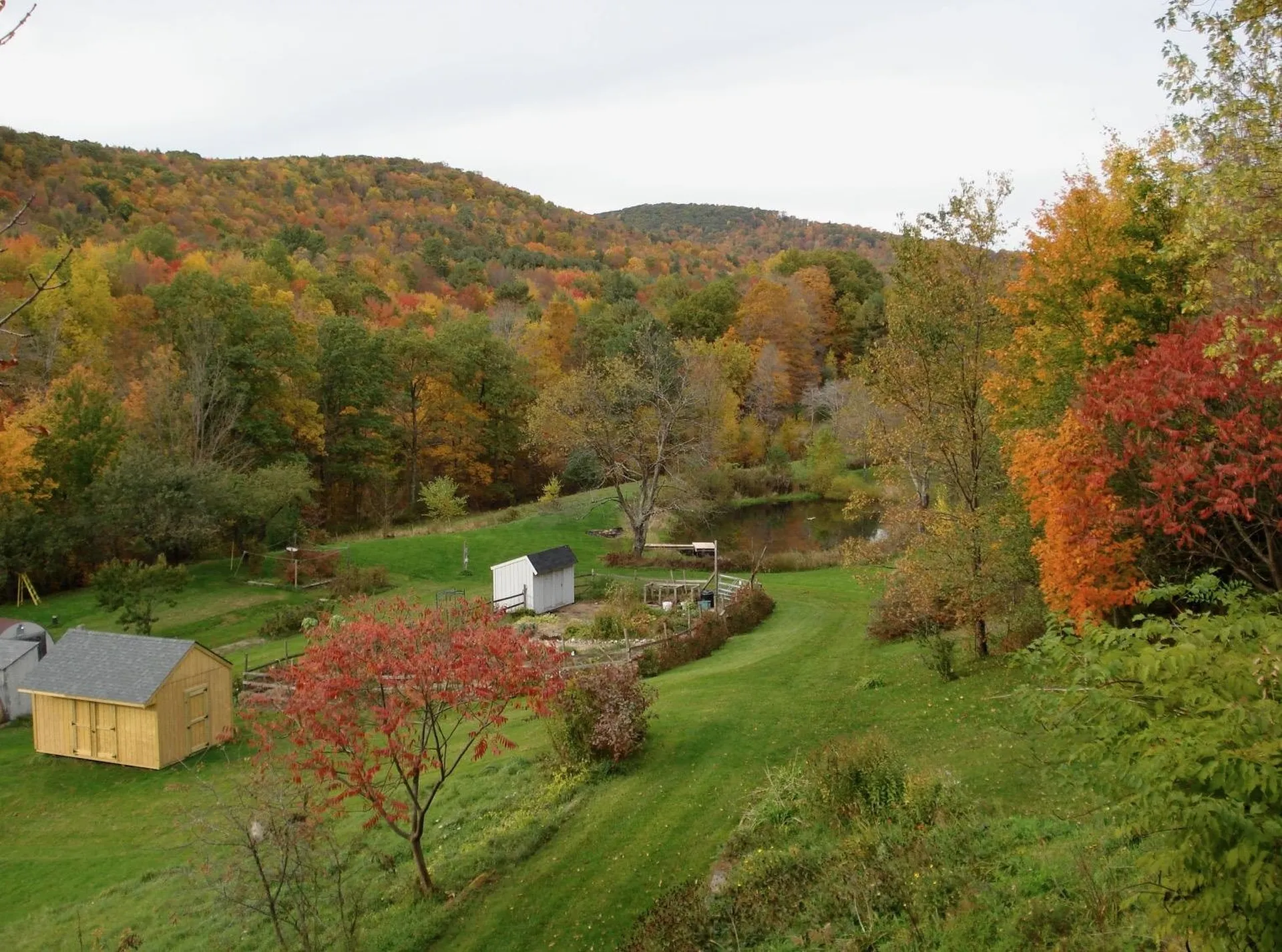289 Lamb Hill Road Wells VT 05774