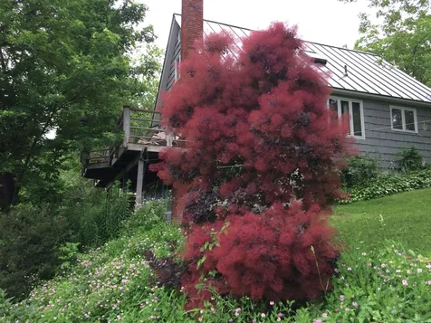 289 Lamb Hill Road Wells VT 05774