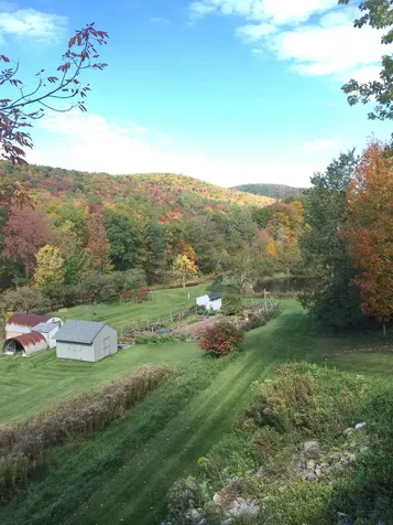 289 Lamb Hill Road Wells VT 05774