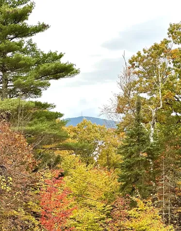 151 Beech Hill Road Andover NH 03216