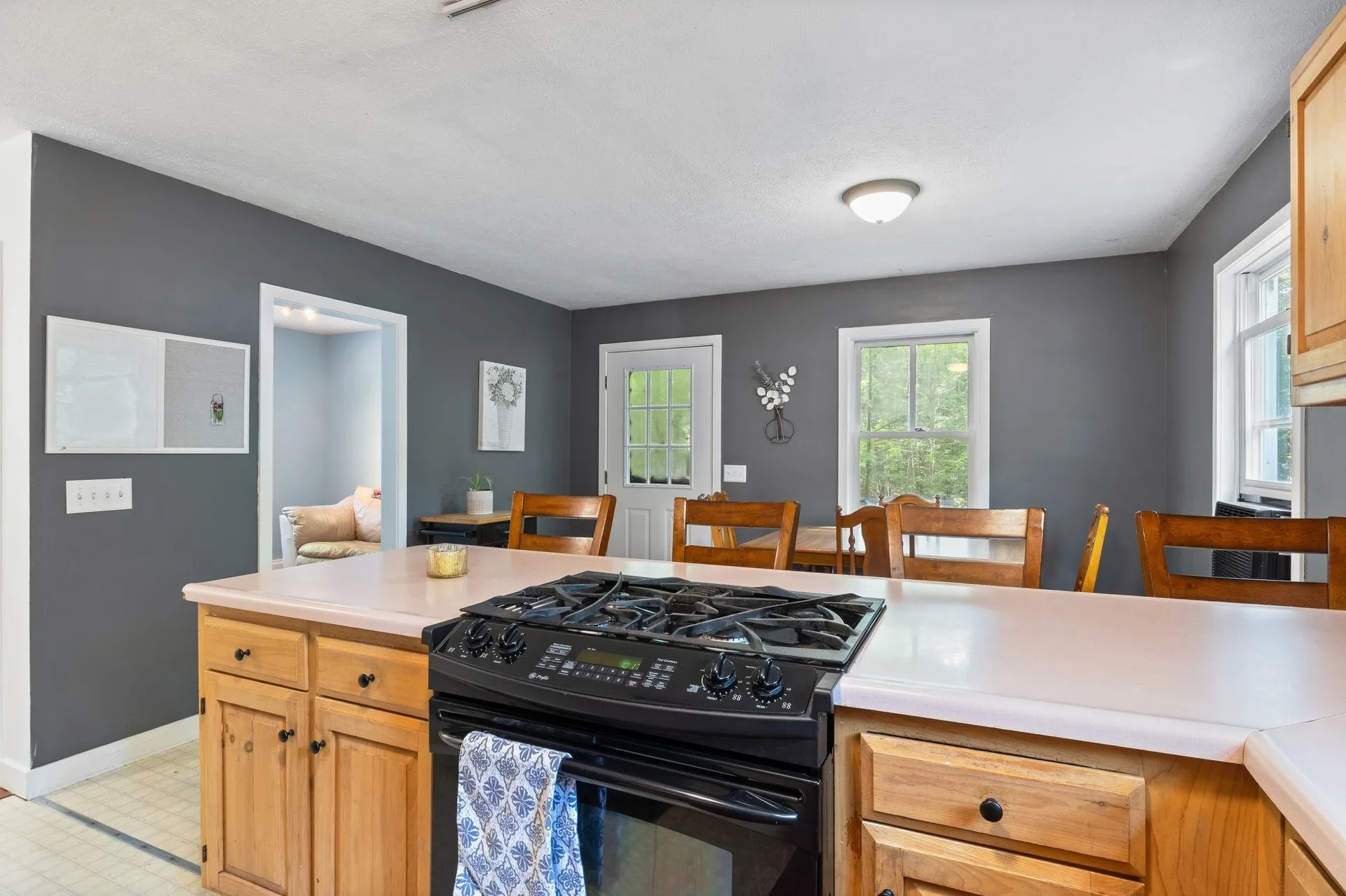 12 Dominic Drive Barrington NH 03825