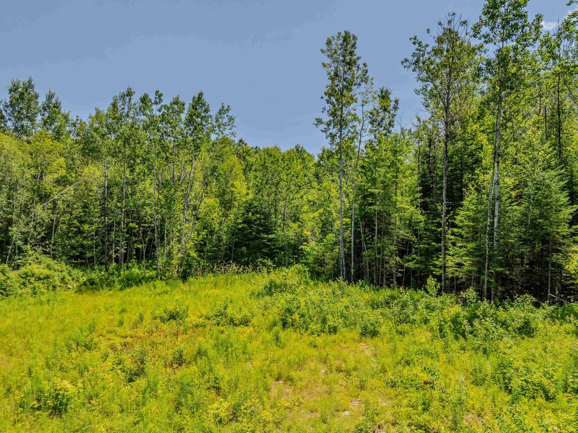 0 Sugarloaf Drive Carroll NH 03574