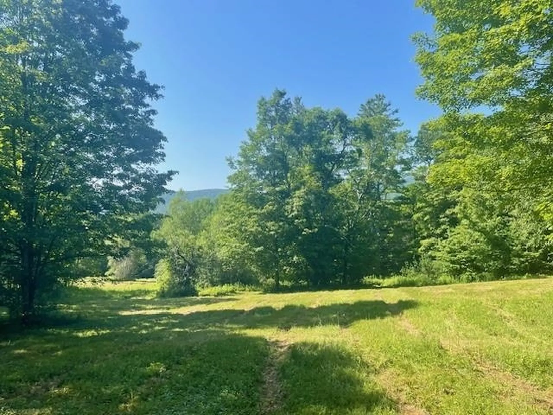 1 Old Bridgewater Hill Road Bridgewater VT 05035