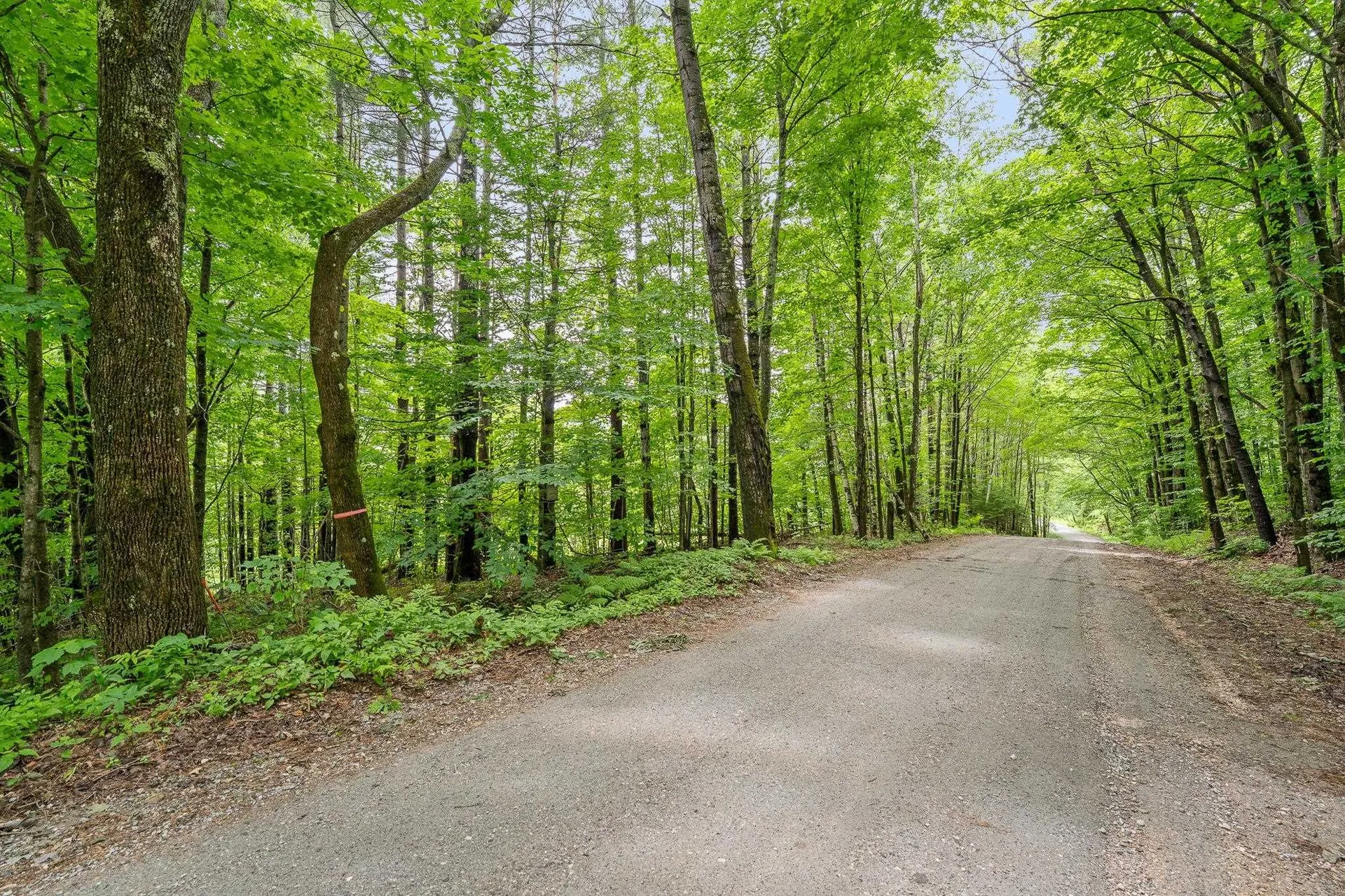 1 Old Bridgewater Hill Road Bridgewater VT 05035