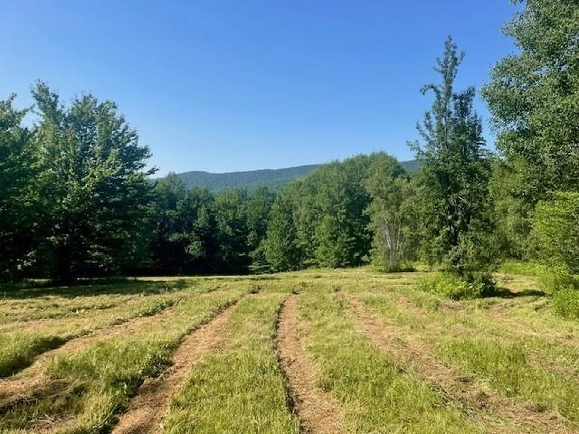 1 Old Bridgewater Hill Road Bridgewater VT 05035