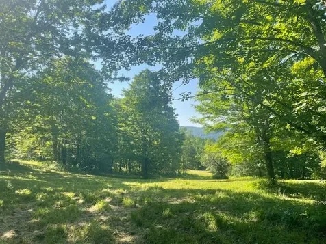 1 Old Bridgewater Hill Road Bridgewater VT 05035