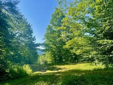 1 Old Bridgewater Hill Road Bridgewater VT 05035