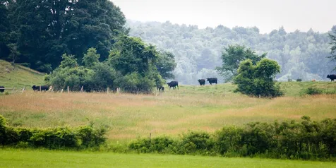 957 Pleasant Valley Road Benson VT 05743