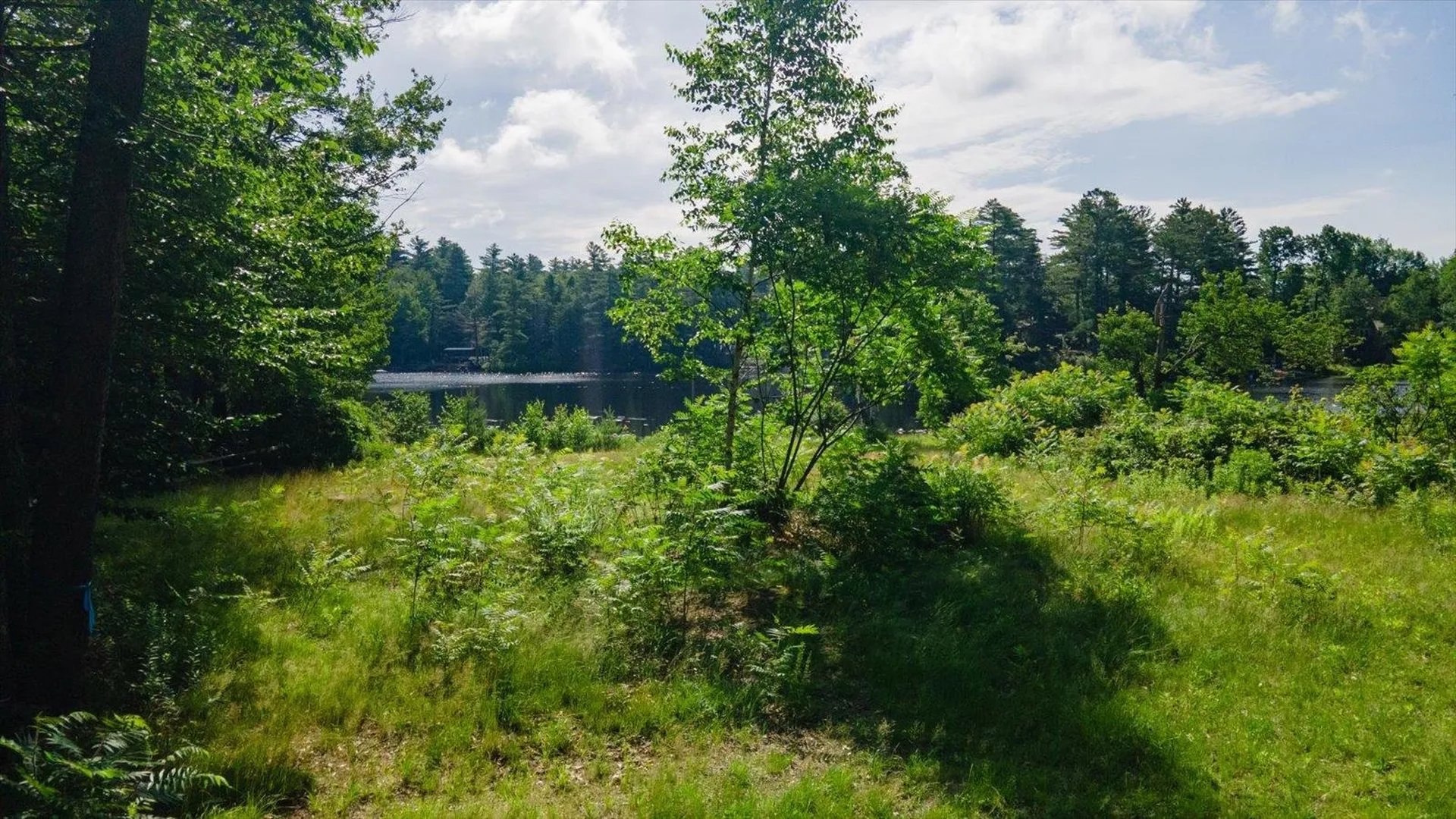 52 Penny Lane Stoddard NH 03464