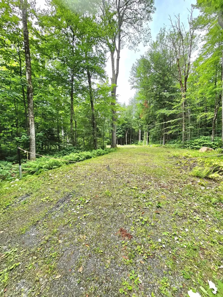 340 Tyanoga Road Whitingham VT 05361