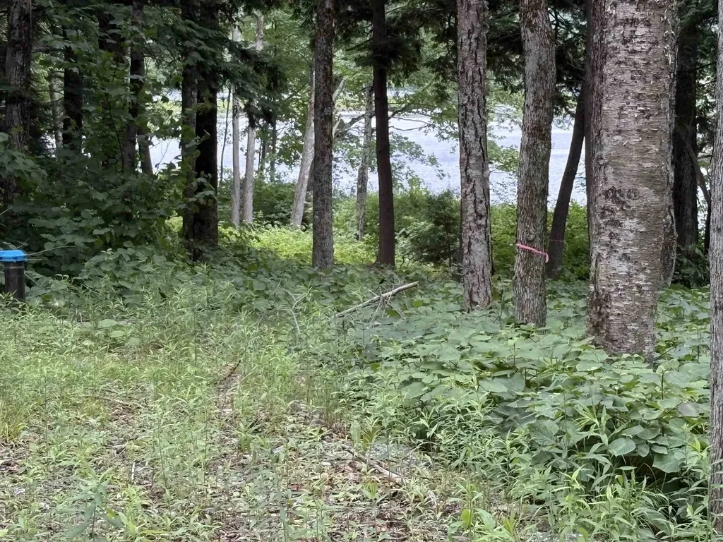 340 Tyanoga Lot X Road Whitingham VT 05361