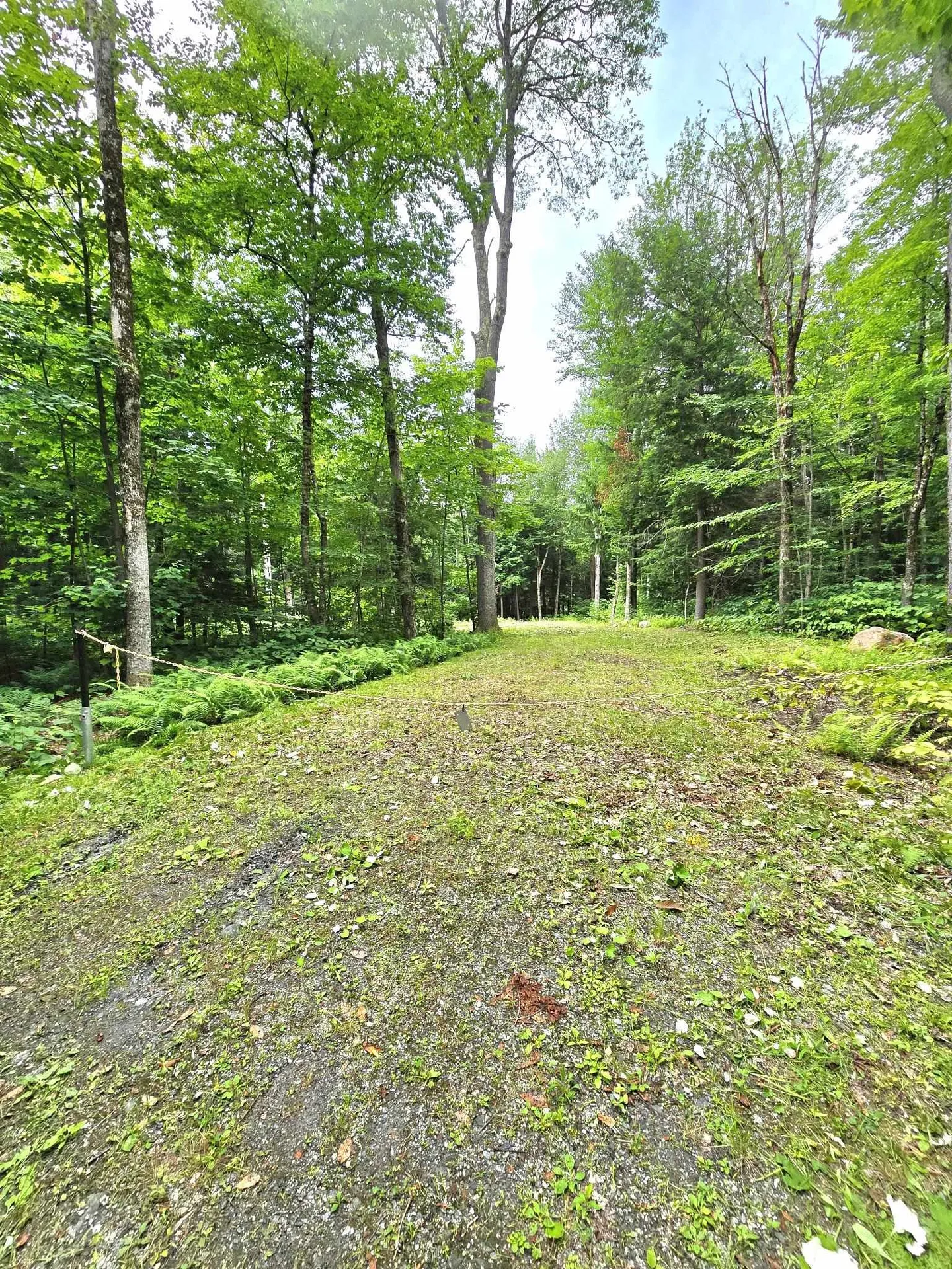 340 Tyanoga Road Whitingham VT 05361