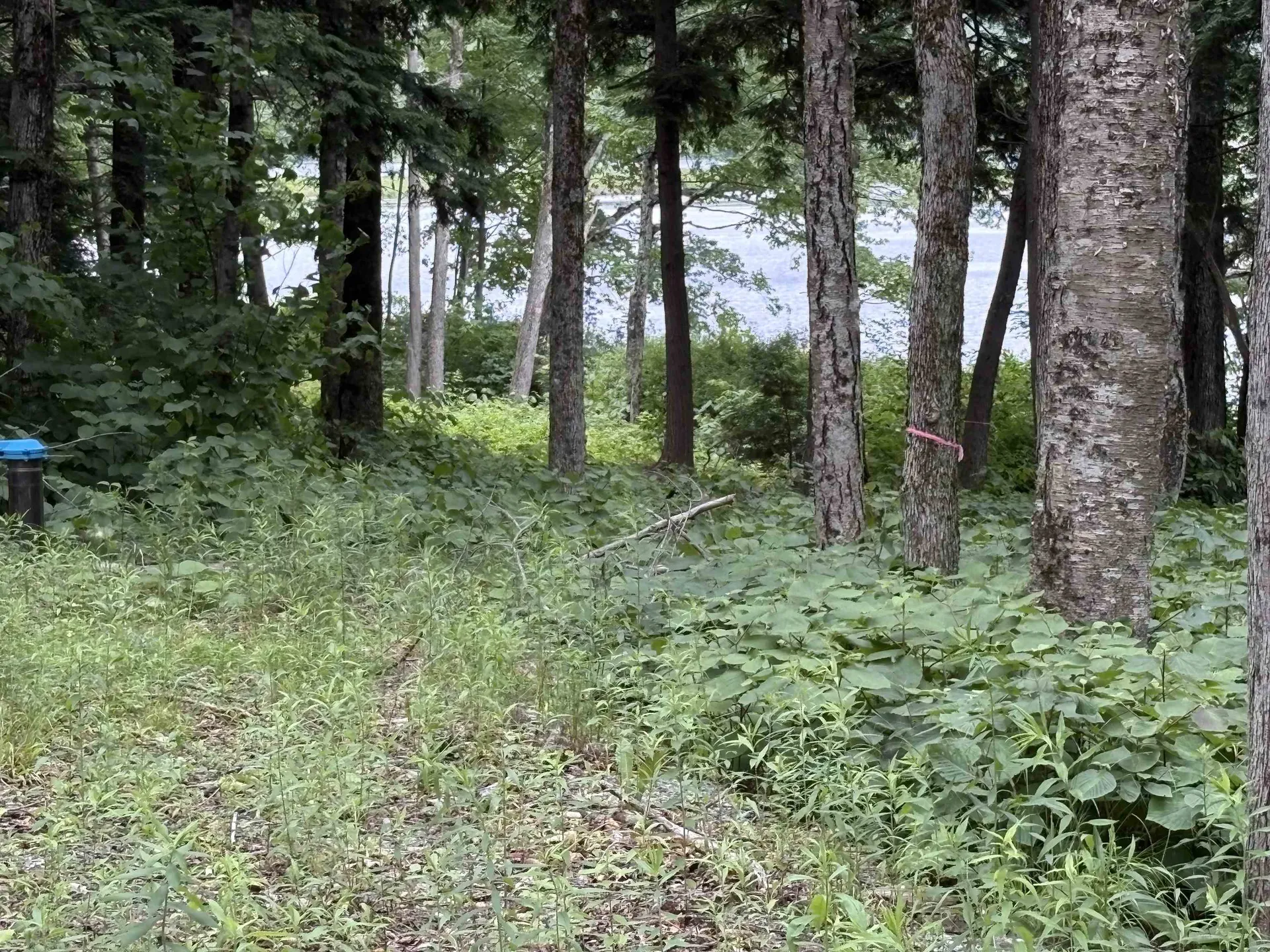 340 Tyanoga Lot X Road Whitingham VT 05361