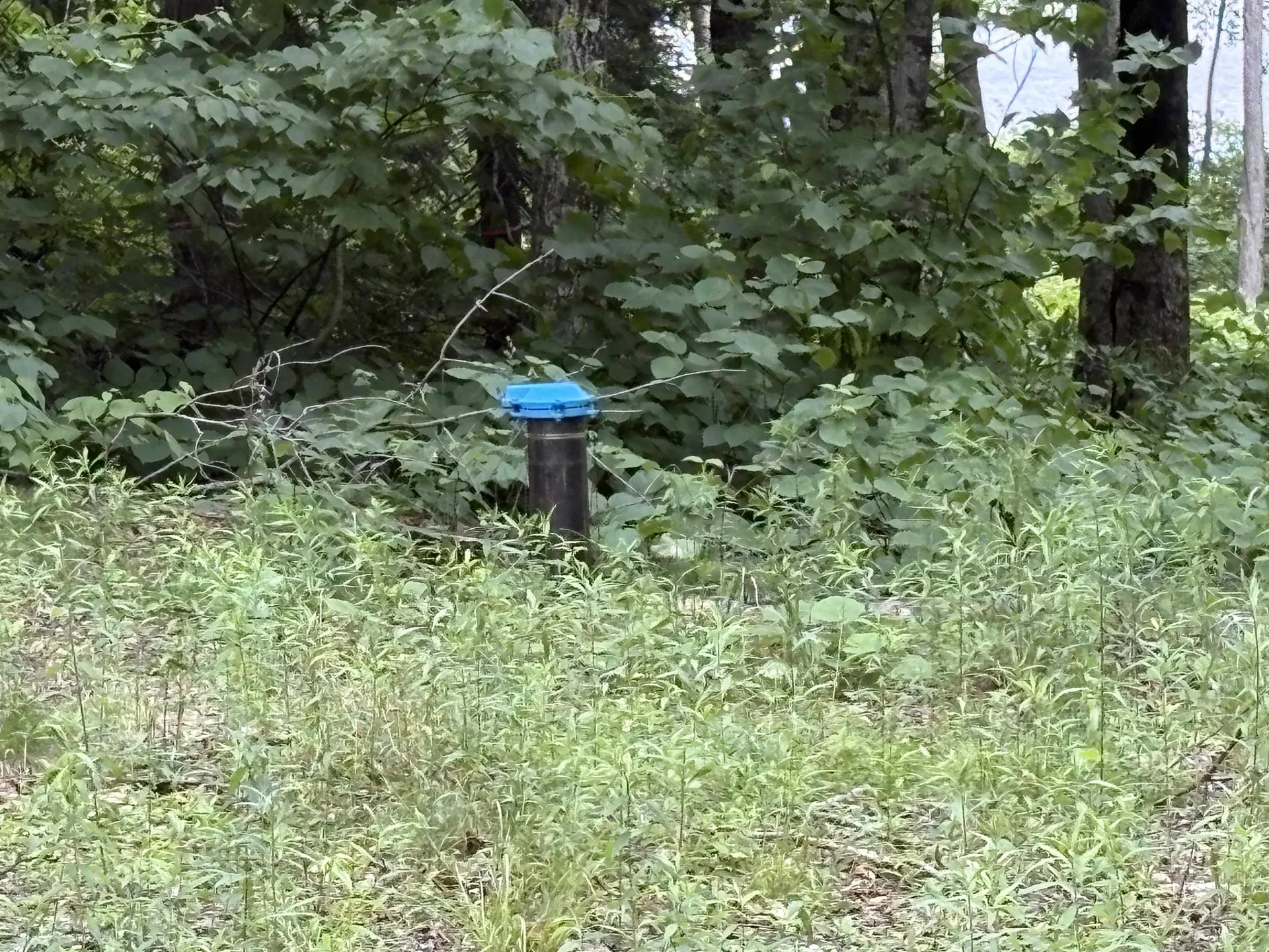 340 Tyanoga Lot X Road Whitingham VT 05361