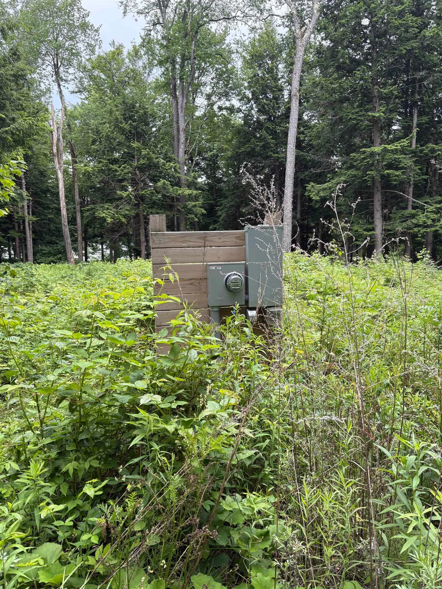 340 Tyanoga Lot X Road Whitingham VT 05361