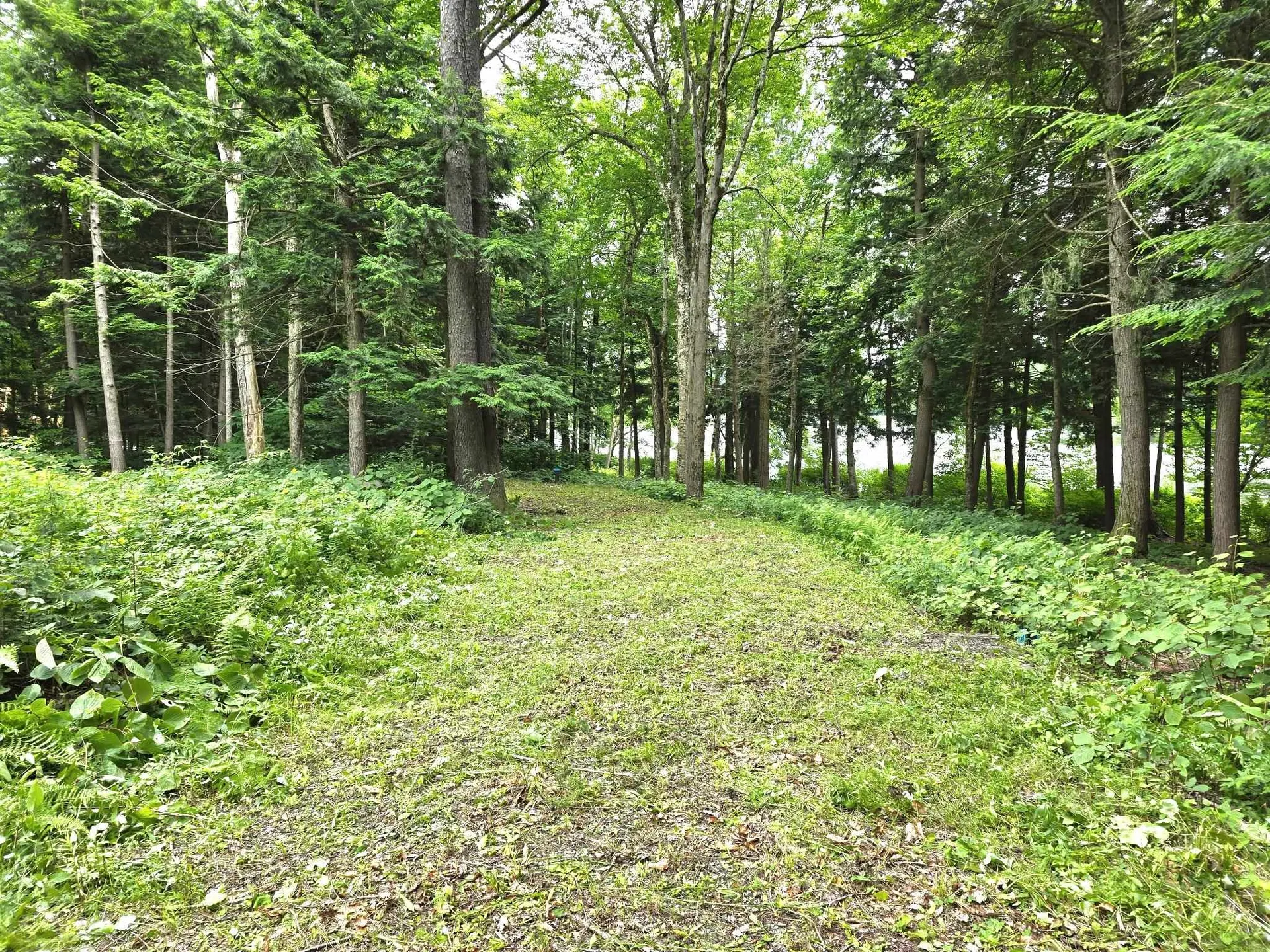 340 Tyanoga Road Whitingham VT 05361