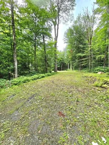340 Tyanoga Road Whitingham VT 05361