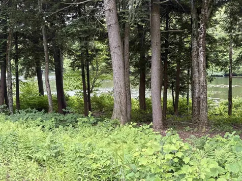 340 Tyanoga Lot X Road Whitingham VT 05361