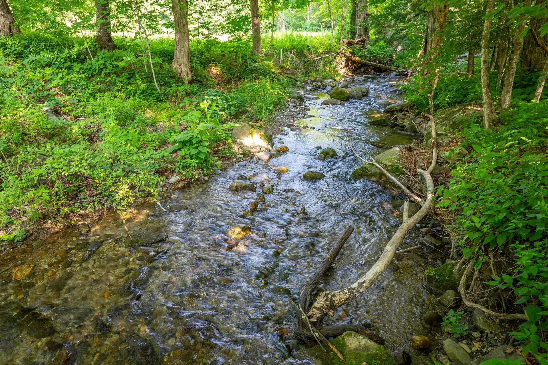 253 Perkins Road Rupert VT 05776