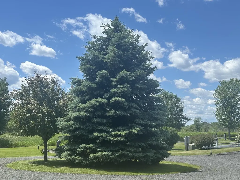 390 Wagner Point Road Alburgh VT 05440
