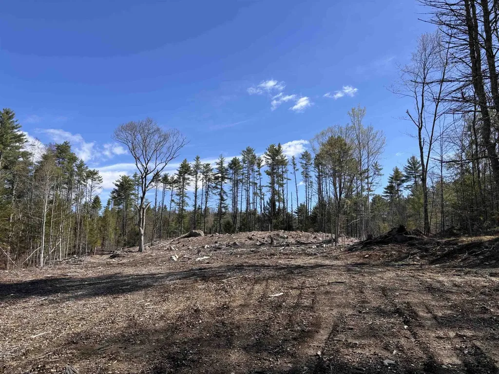 L:64 & 65 Old Turnpike Road Richmond NH 03470