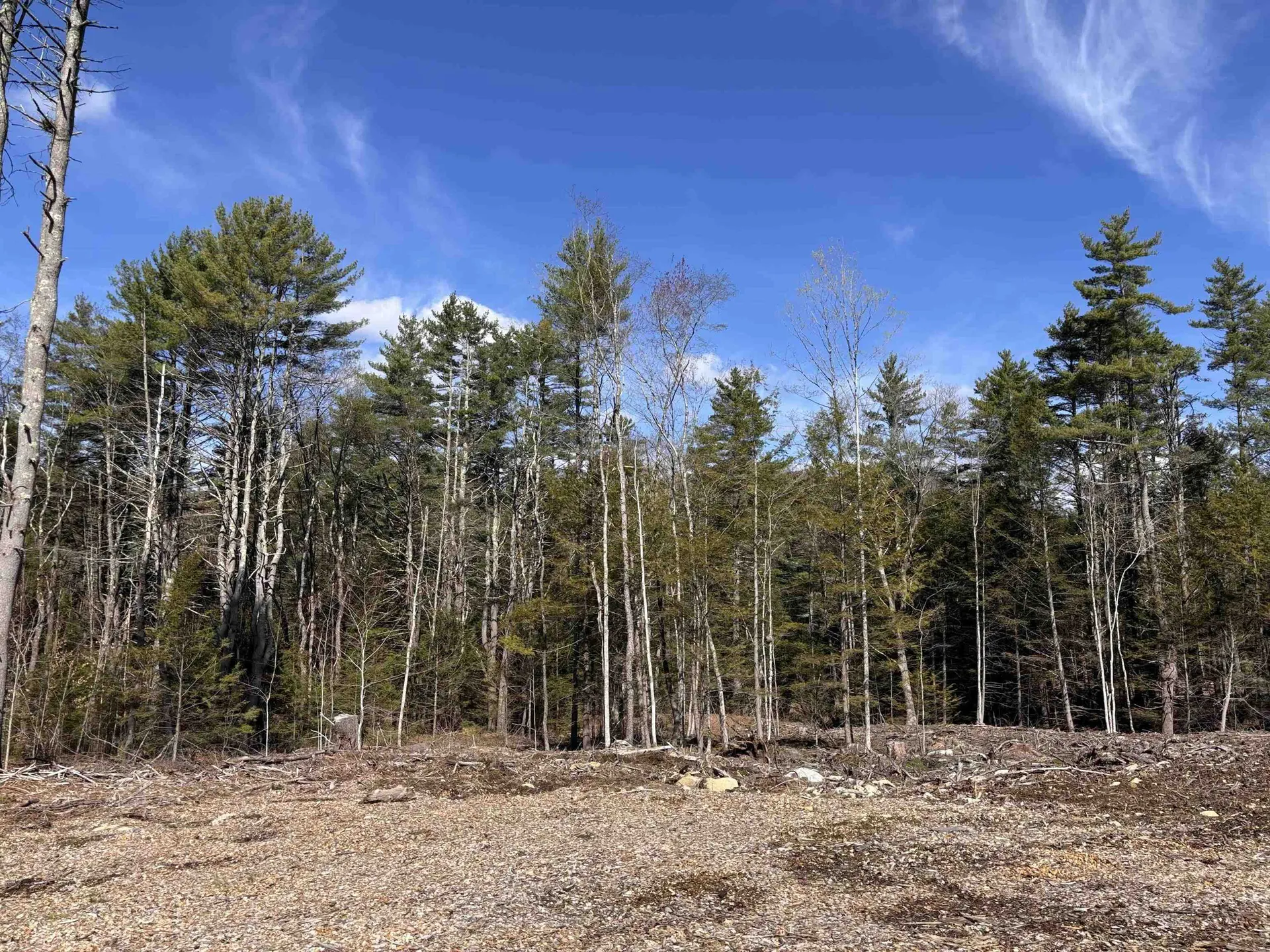 L:64 & 65 Old Turnpike Road Richmond NH 03470