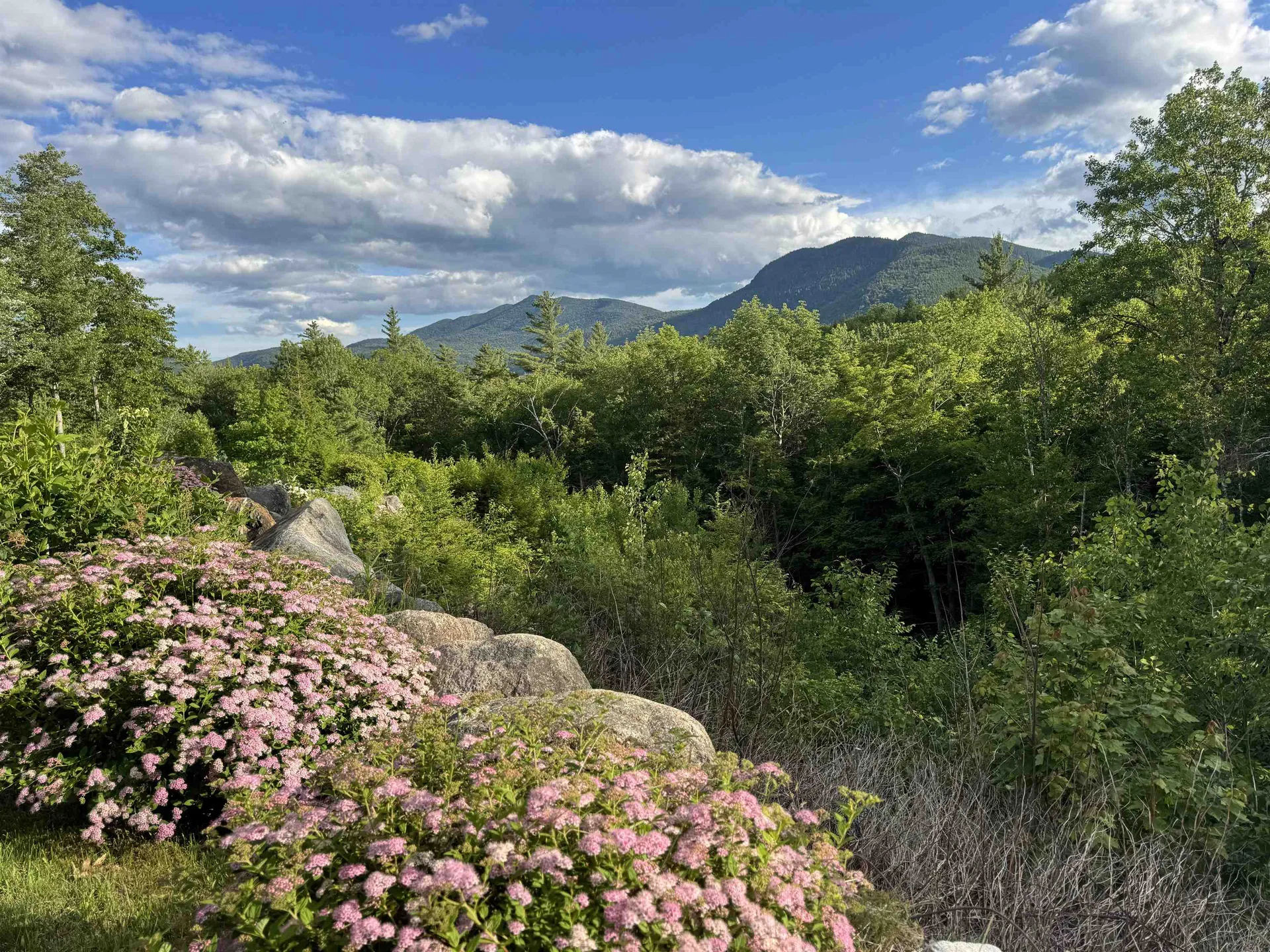 38 Table Rock Road Bartlett NH 03812