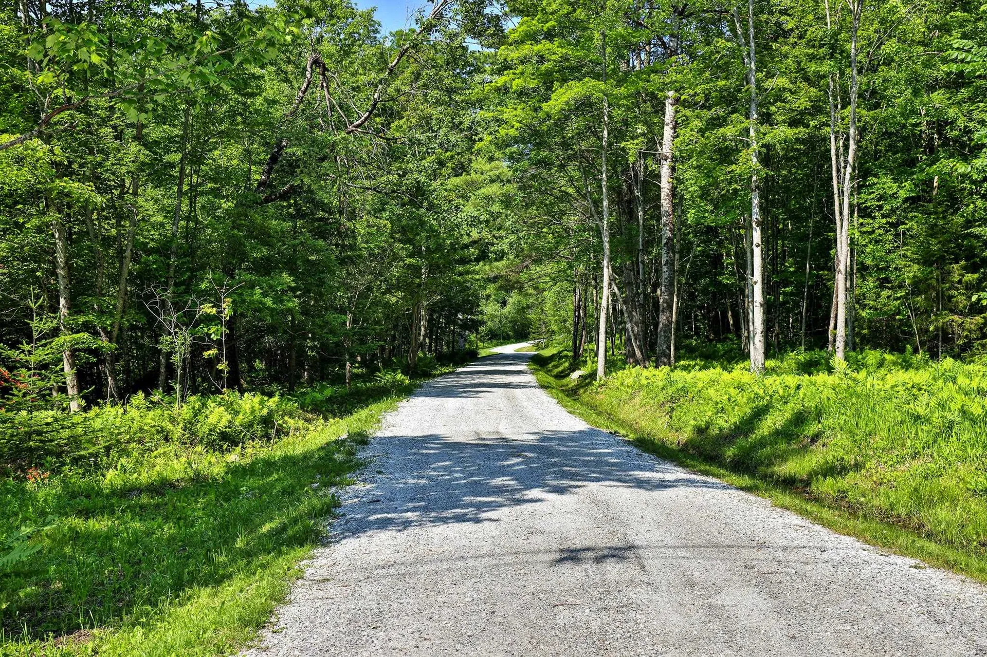 415 Crown Point Road Shrewsbury VT 05738