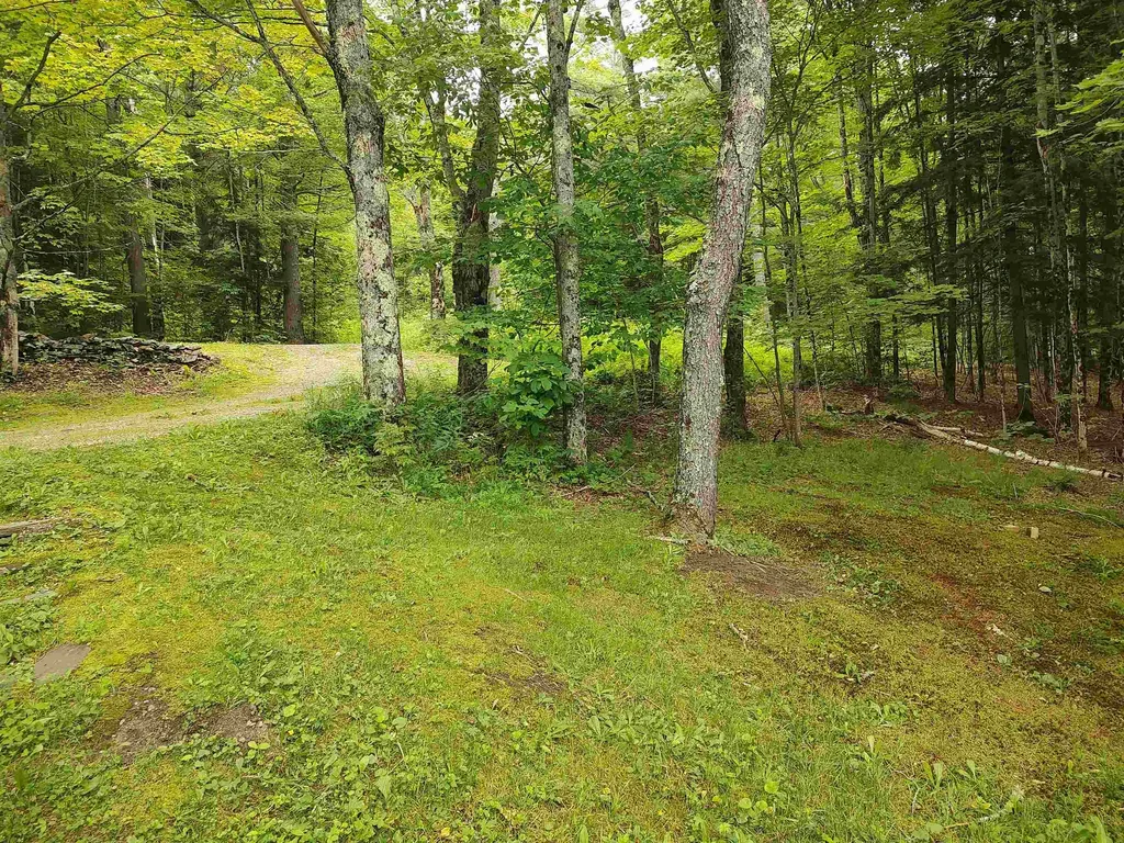 801 Harlow Hill Randolph VT 05060
