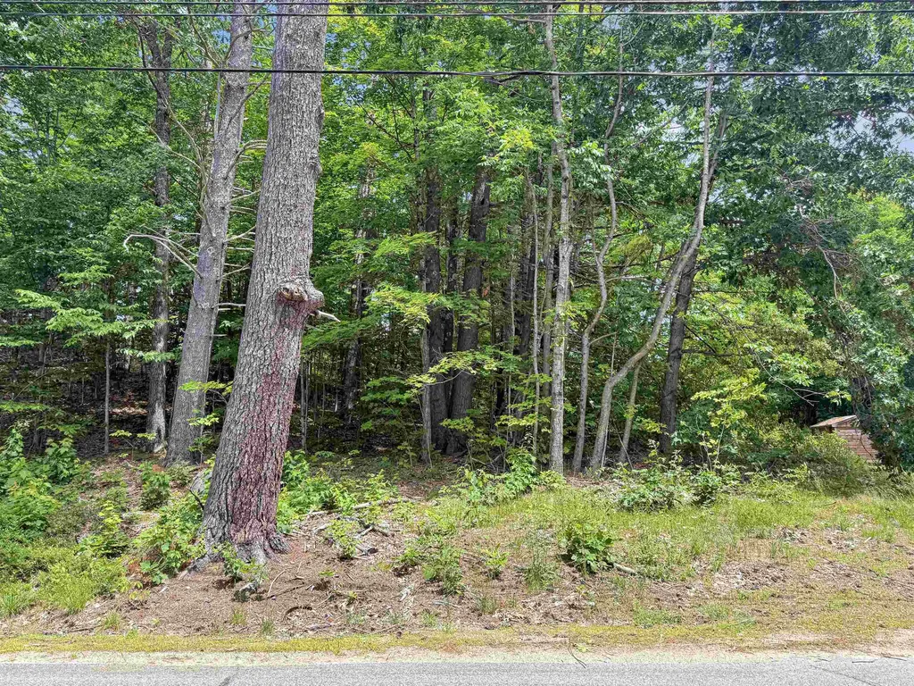 Lot 76-20-1 Sheridan Road Moultonborough NH 03254