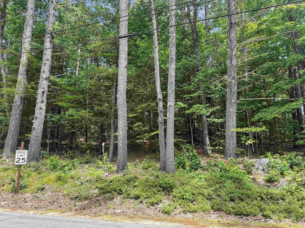 Lot 76-20-1 Sheridan Road Moultonborough NH 03254