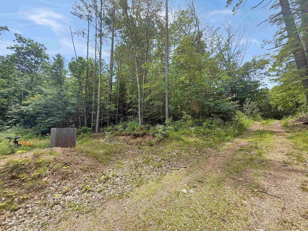 Lot 76-20-1 Sheridan Road Moultonborough NH 03254