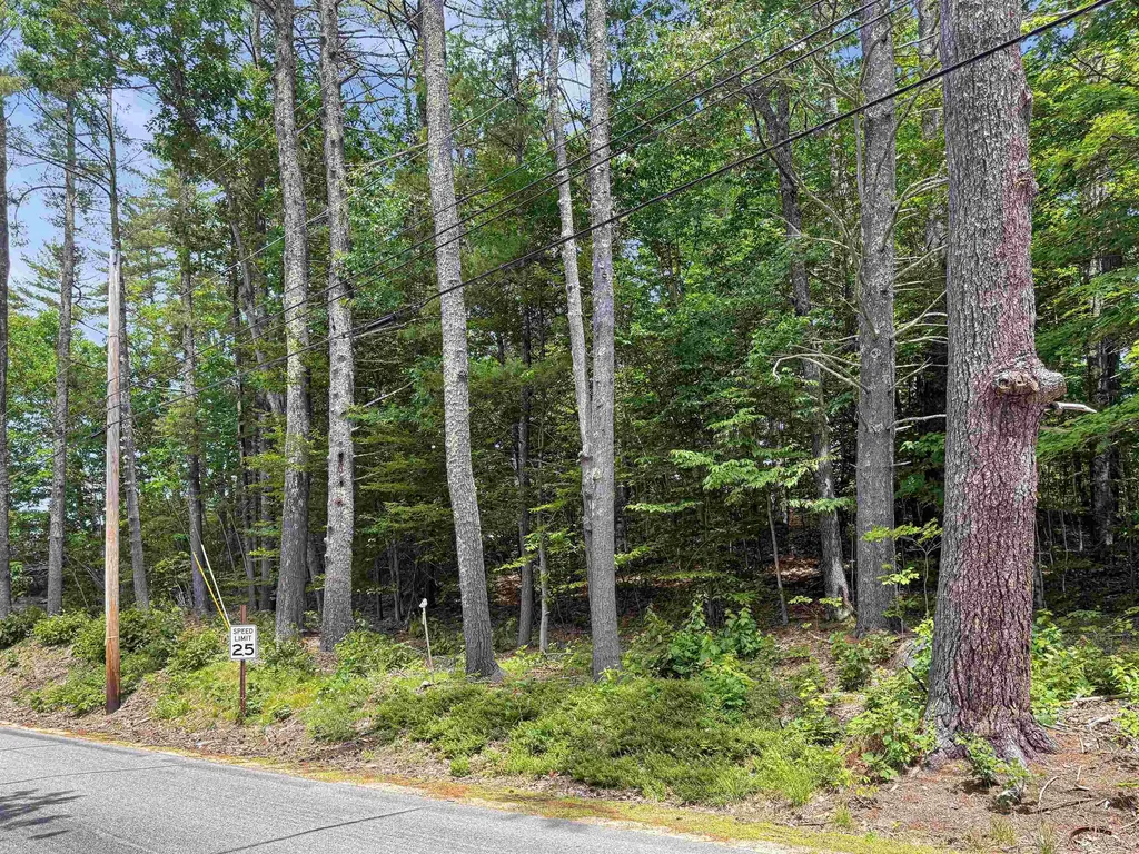 Lot 76-20-1 Sheridan Road Moultonborough NH 03254