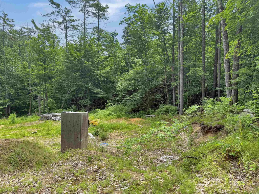 Lot 76-20-1 Sheridan Road Moultonborough NH 03254