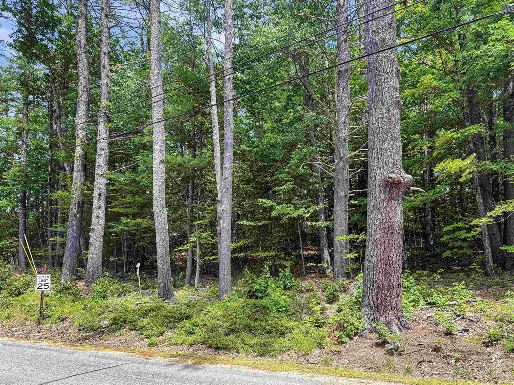 Lot 76-20-1 Sheridan Road Moultonborough NH 03254