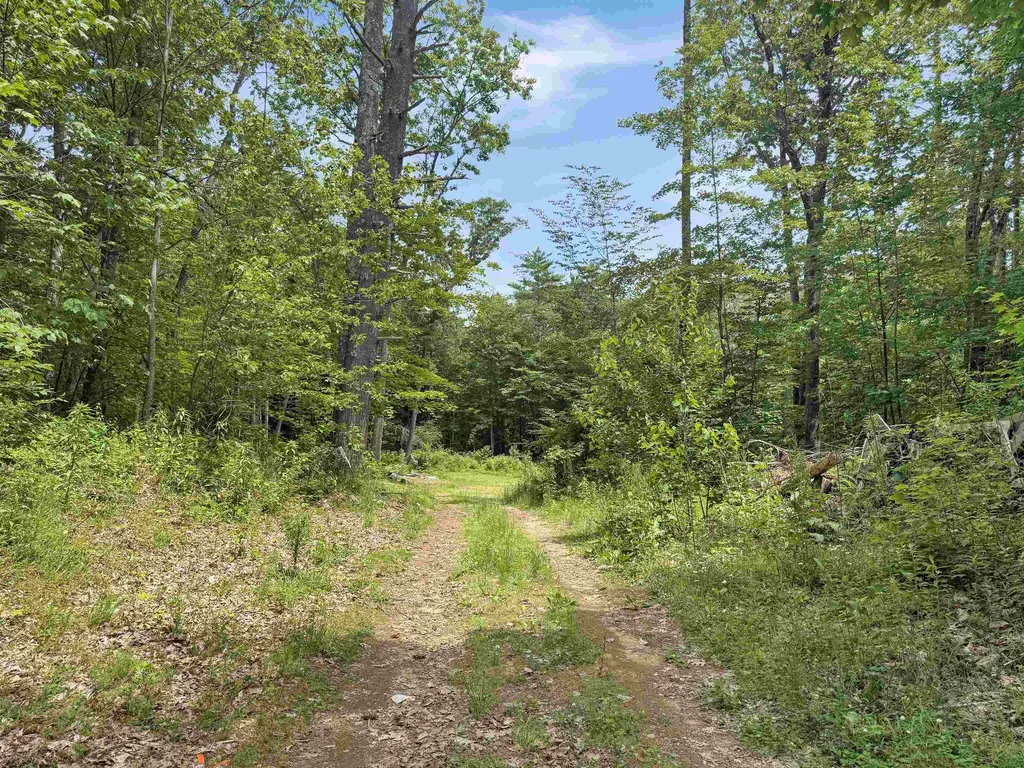 Lot 76-20-1 Sheridan Road Moultonborough NH 03254