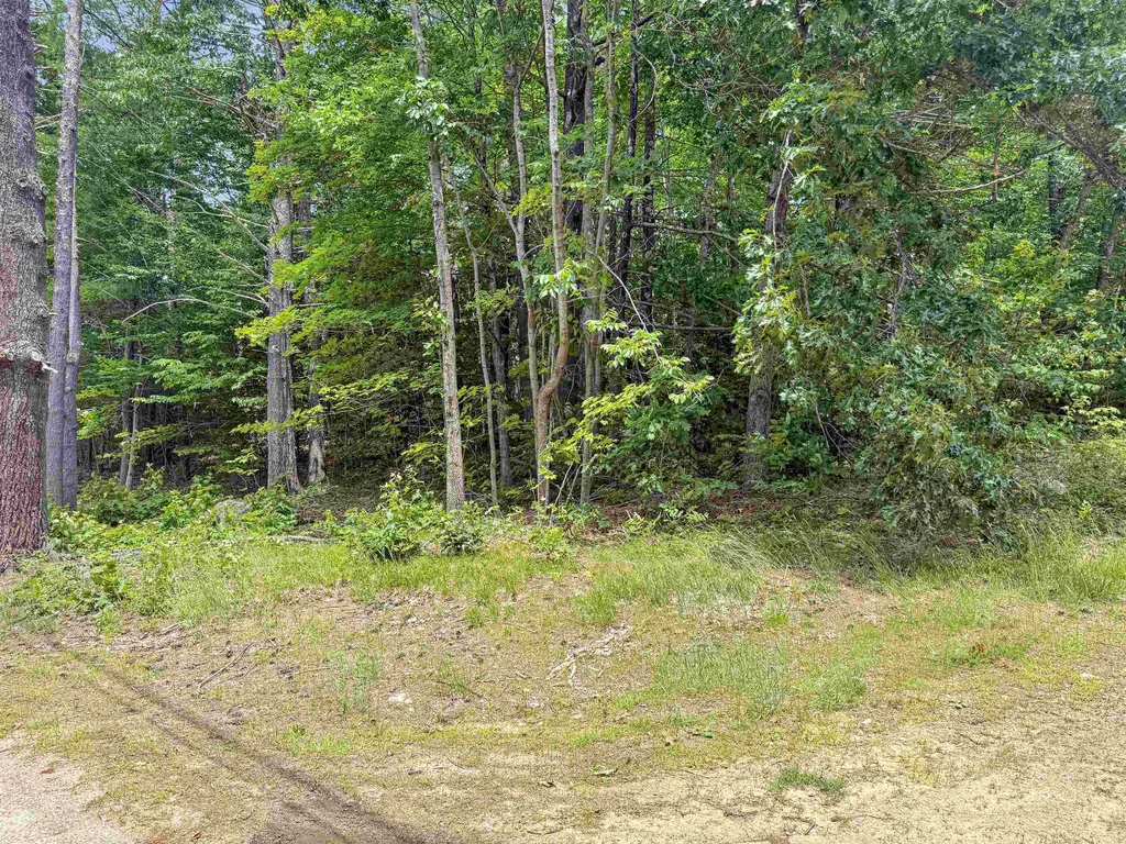 Lot 76-20-1 Sheridan Road Moultonborough NH 03254