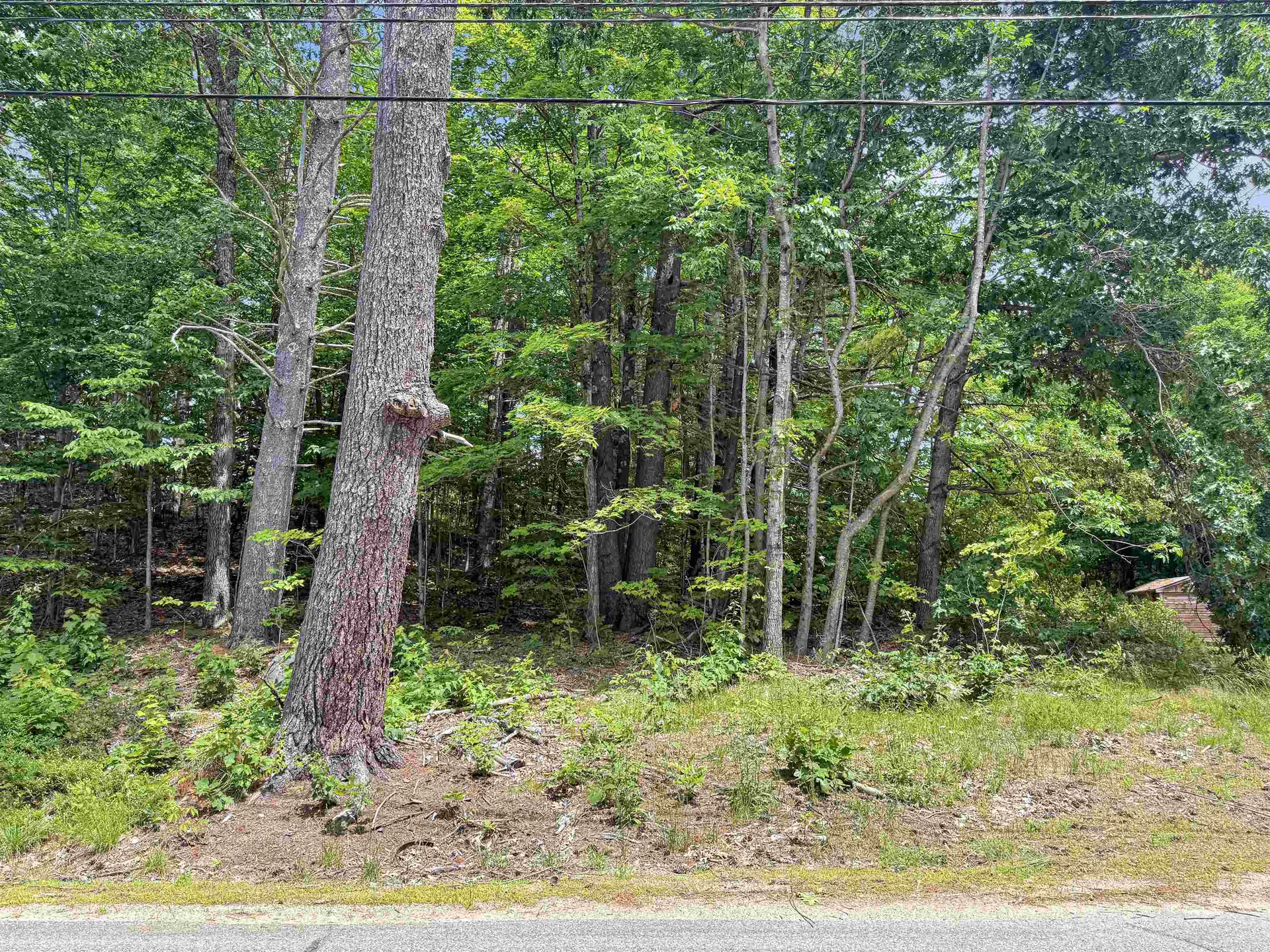 Lot 76-20-1 Sheridan Road Moultonborough NH 03254