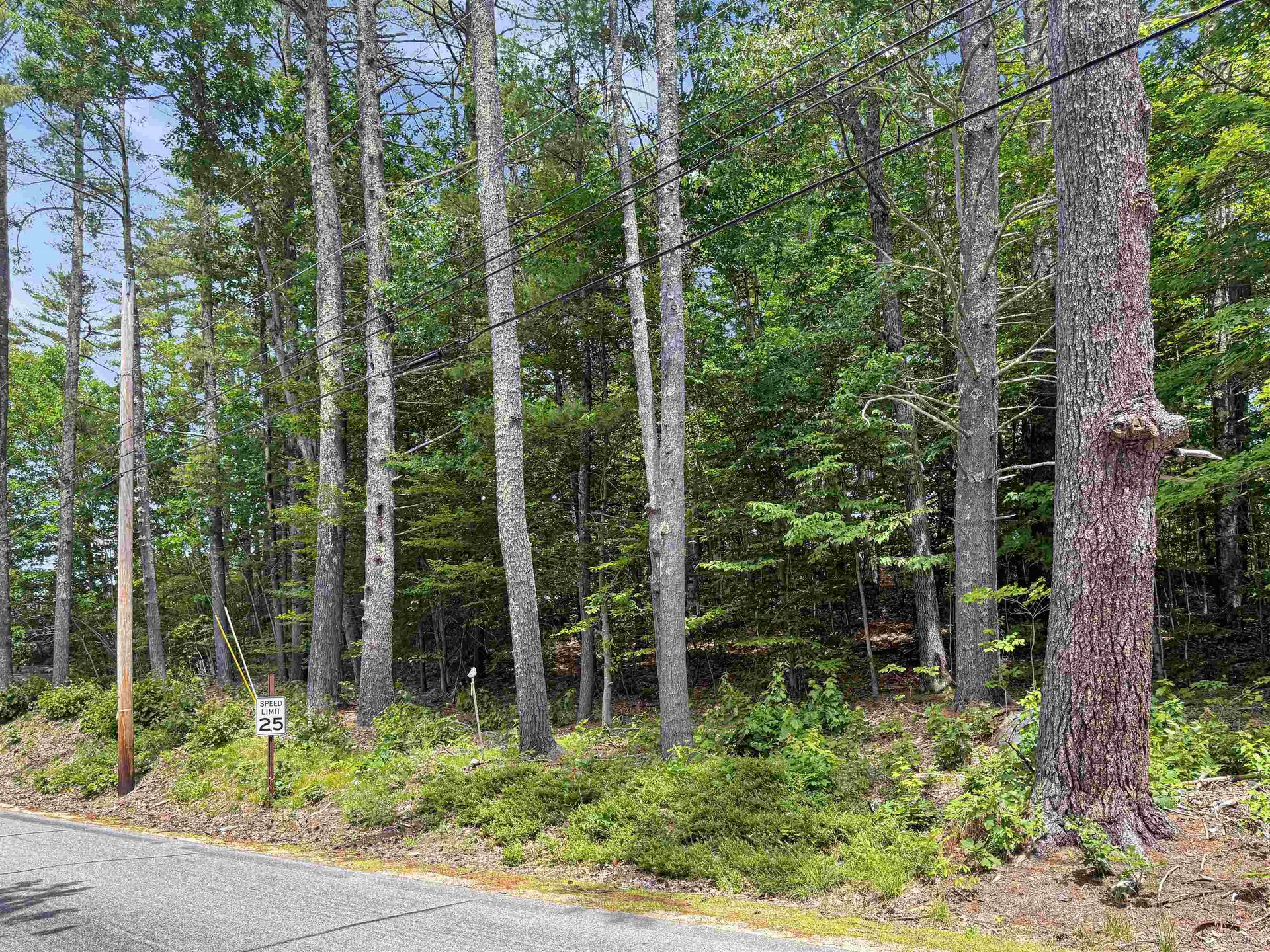 Lot 76-20-1 Sheridan Road Moultonborough NH 03254