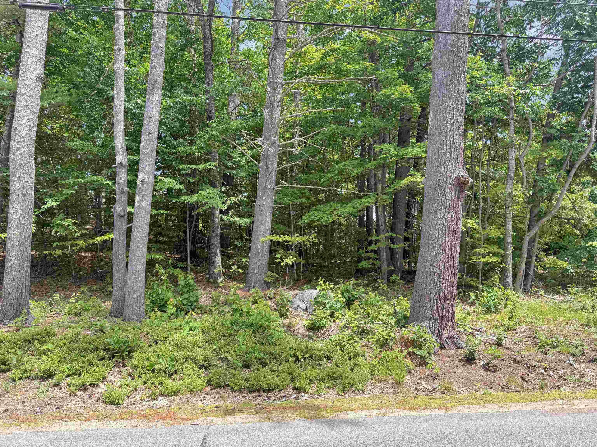 Lot 76-20-1 Sheridan Road Moultonborough NH 03254
